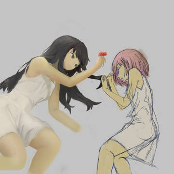 lycoris_2