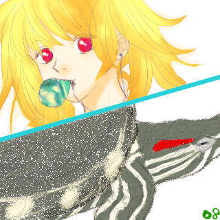 アカメアカミミ