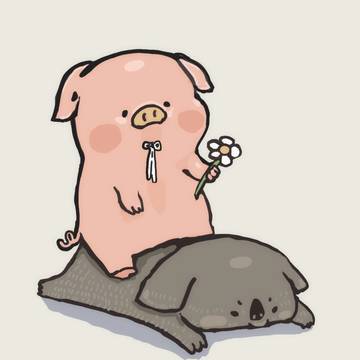 倒したコアラ