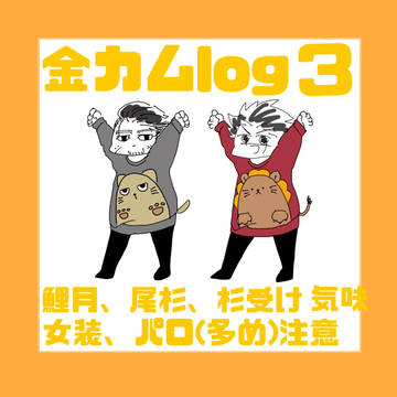 金カムlog3