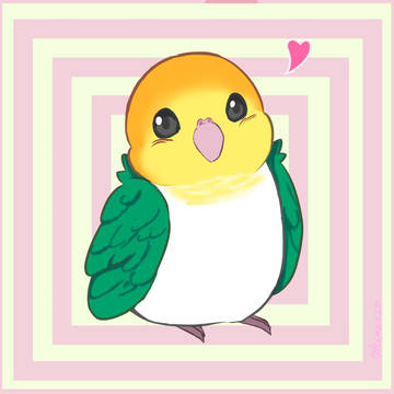 シロハラちゃん