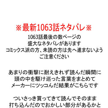 1063話感想※ネタバレ注意※