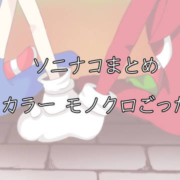 ソニナコまとめ