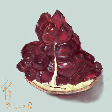 石榴 Pomegranate
