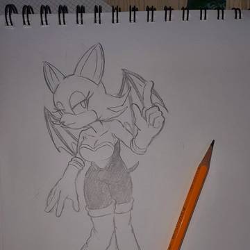 Rouge The Bat(ルージュ・ザ・バット)
