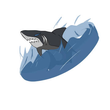 shark