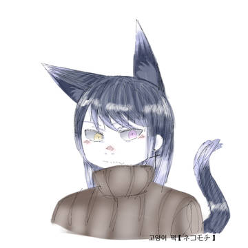 고양이 떡【ネコモチ】