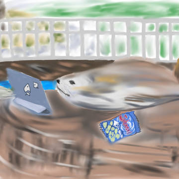休日の過ごし方