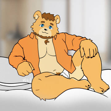 bear