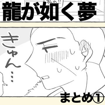 龍夢まとめ①