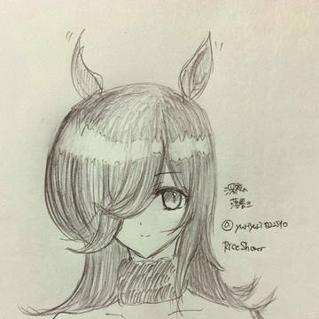 アナログ ライスシャワー