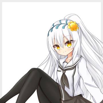 学園シロタエギク