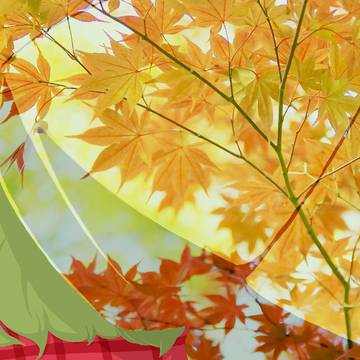 振り返る幽香ちゃんの絵