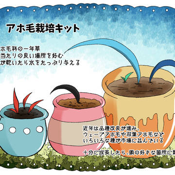 【PFSOZ】アホ毛栽培キット