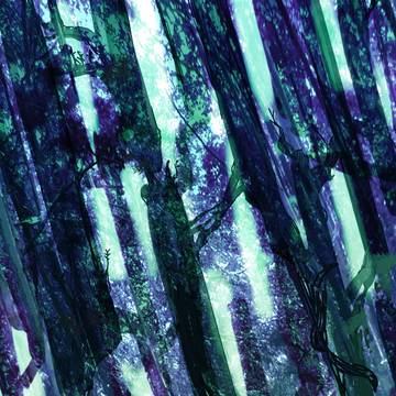 【PFSOZ】柱の森【黄金の交易路】