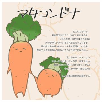 【PFSOZ】マタコンドナ