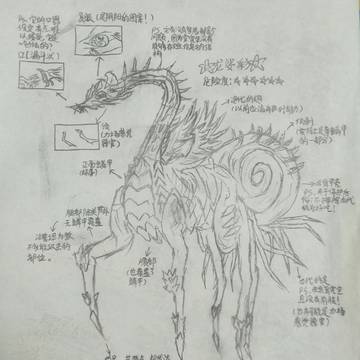 龙娑彩