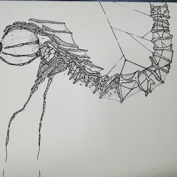 前だけを見続けろ