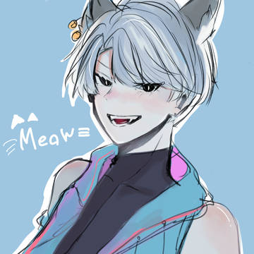 猫