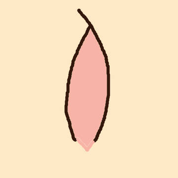 琴やよいちゃんのおへそ