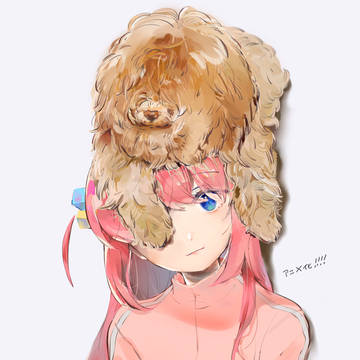 ぼっち・ざ・ろぐ