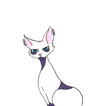 だびにゃん