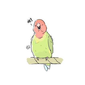 別人家的小鳥③