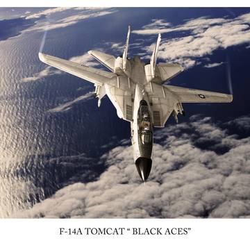 F-14 Tomcat
