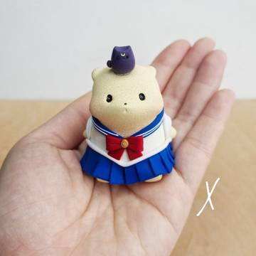 Sailor Moon Ring Bearer