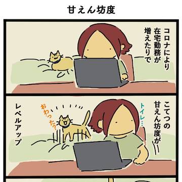 猫エッセイまんが482～490