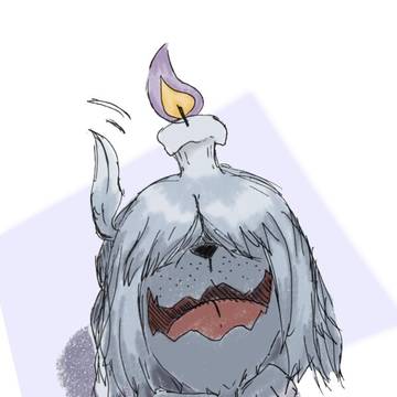 こっちを見るボチ