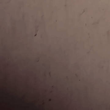 ohayou