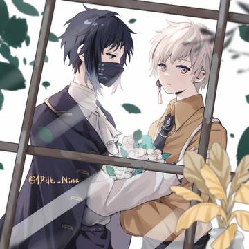 芥敦