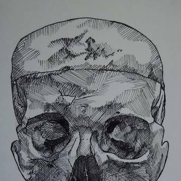 Human Skull