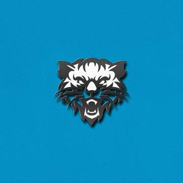 Cat Mascot Logo