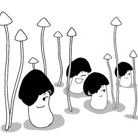 きのこ風