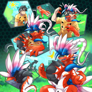 Koraidon TF