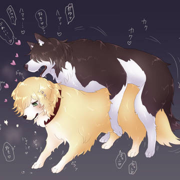 【skeb】元人間の犬同士の交尾シーン