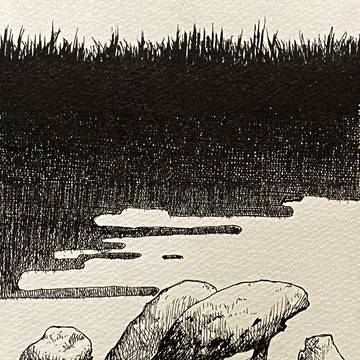 小石たちの世界