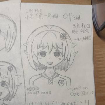 Some pictures.（中国語メイン）