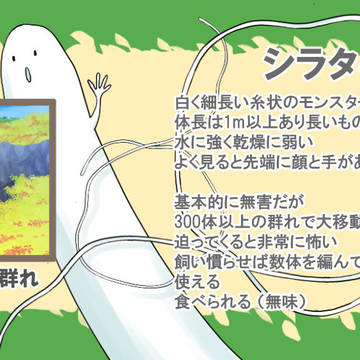 【PFSOZ】シラタキ