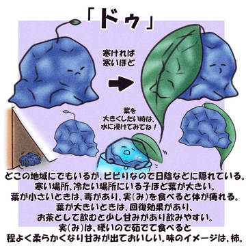 【PFSOZ】ドゥ