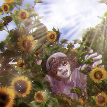 ひまわりの中