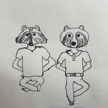 Raccoon or Tanuki