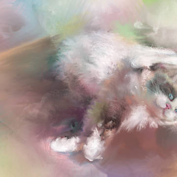 うちの猫