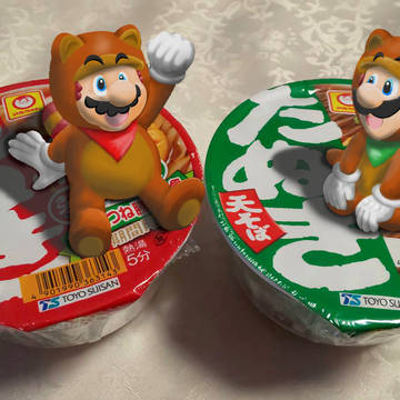 赤いたぬきと緑のたぬき