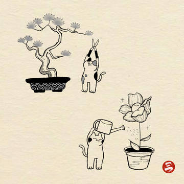 ねね猫-3
