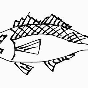お魚