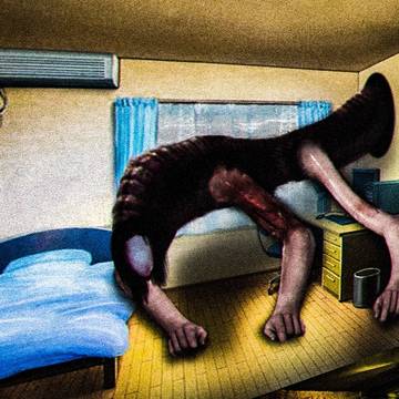 Home_tapeworm