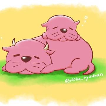 お昼寝中,,,💤